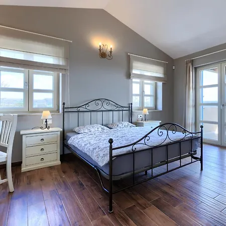 Feniks By Interhome Villa Visnjan