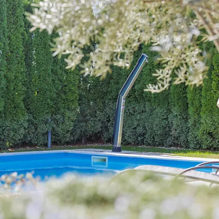 Villa Feniks By Interhome Visnjan