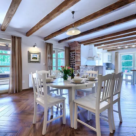 Feniks By Interhome Villa Visnjan